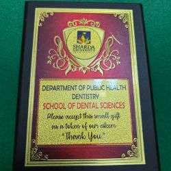 Award ceremony honoring Amarpushp NGO for community development initiatives
